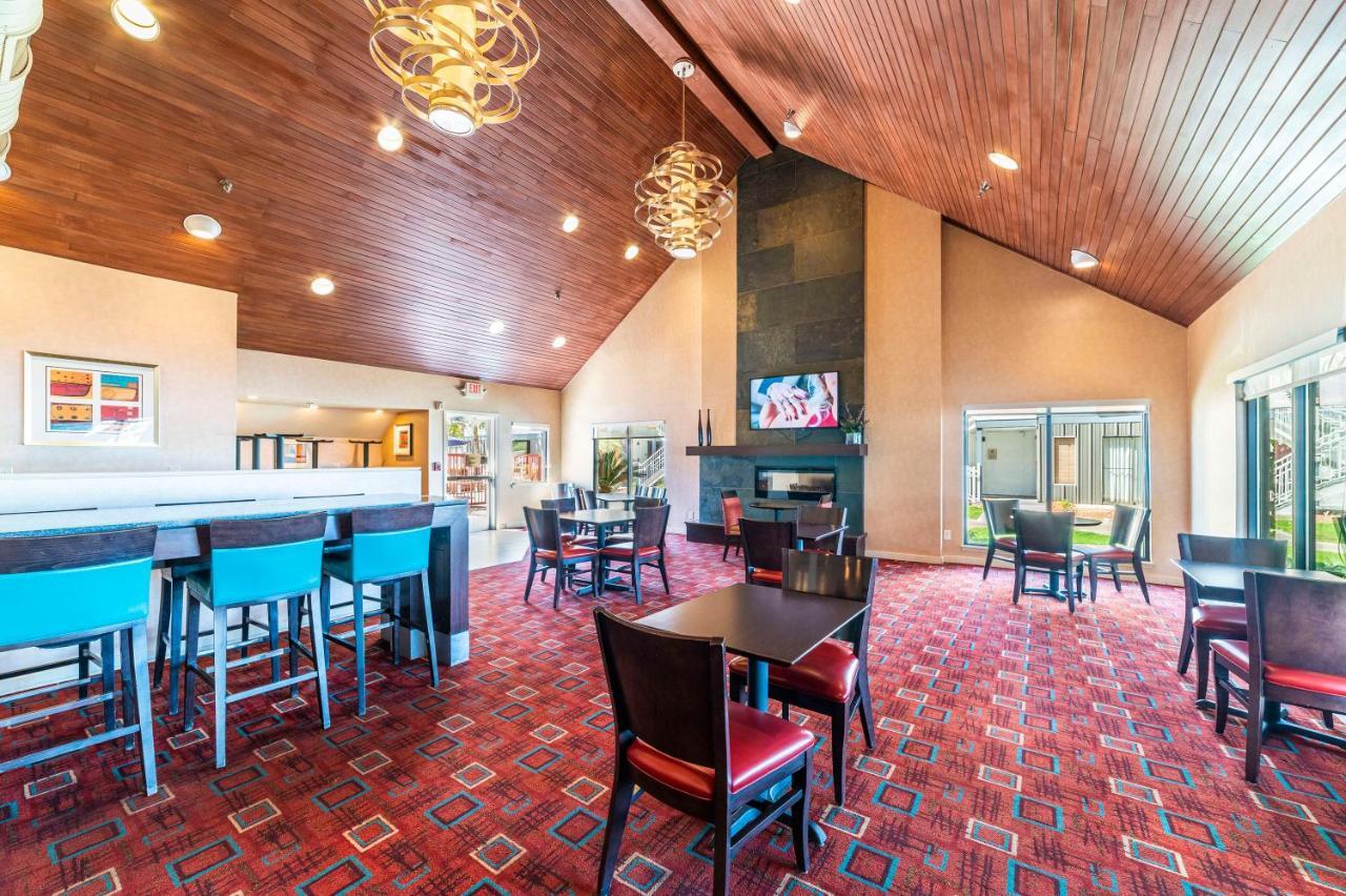 Metro Phx Downstairs Studio Sleeps 4 Ada Accessible Φοίνιξ Εξωτερικό φωτογραφία