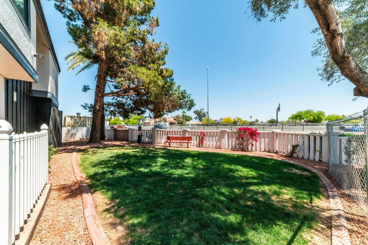 Metro Phx Downstairs Studio Sleeps 4 Ada Accessible Φοίνιξ Εξωτερικό φωτογραφία